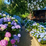 Vale Da Silva - Quinta Holiday home *