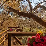 Vale Da Silva - Quinta Holiday home