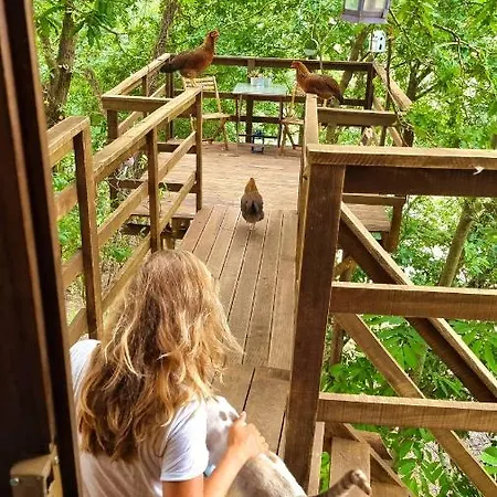 Vale Da Silva - Quinta *