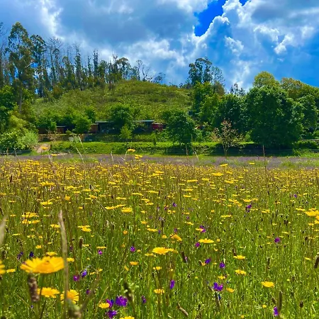 Vale Da Silva - Quinta * Албергария-а-Велья