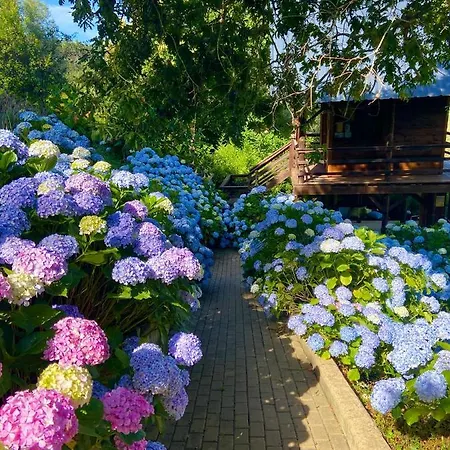 Vale Da Silva - Quinta Holiday home *