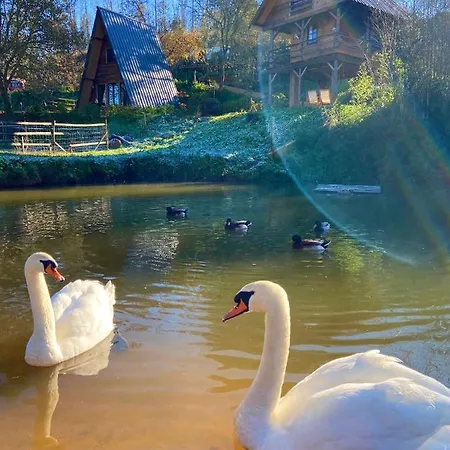 Vale Da Silva - Quinta * Албергария-а-Велья