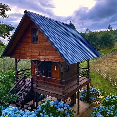 Vale Da Silva - Quinta * Albergaria-a-Velha