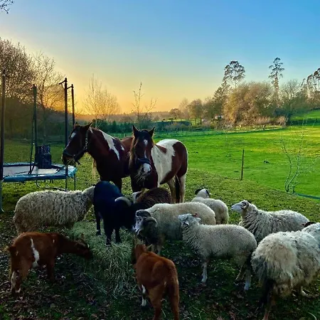 Vale Da Silva - Quinta Casa vacanze