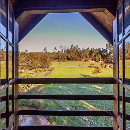 Vale Da Silva - Quinta Албергария-а-Велья