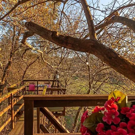 Vale Da Silva - Quinta Casa vacanze