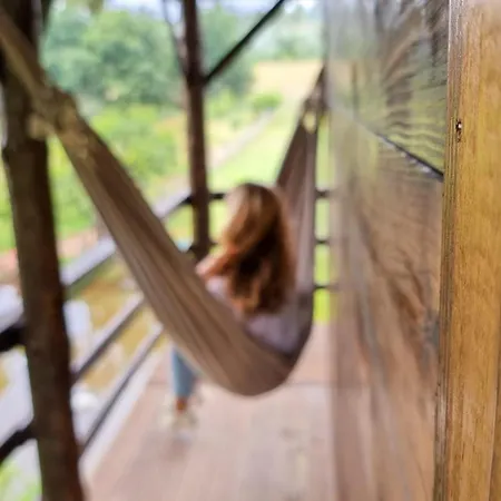 펜션 Vale Da Silva - Quinta