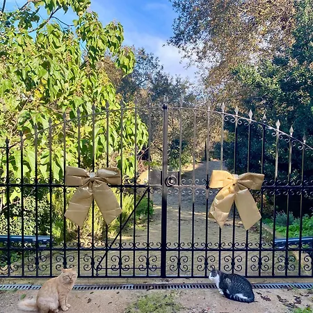 Дом отдыха Vale Da Silva - Quinta *