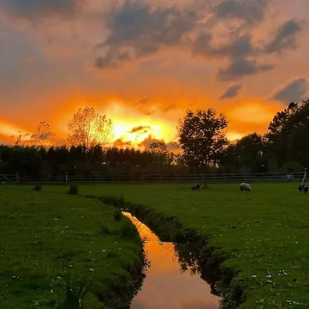 Vale Da Silva - Quinta 펜션 알버가리아아벨라