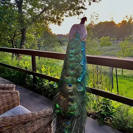 Vale Da Silva - Quinta