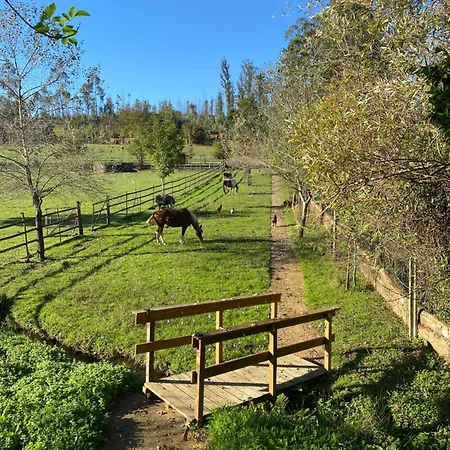 Vale Da Silva - Quinta * Албергария-а-Велья