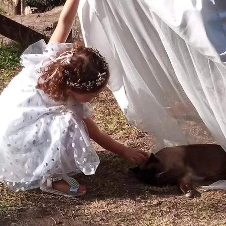 Vale Da Silva - Quinta * Albergaria-a-Velha