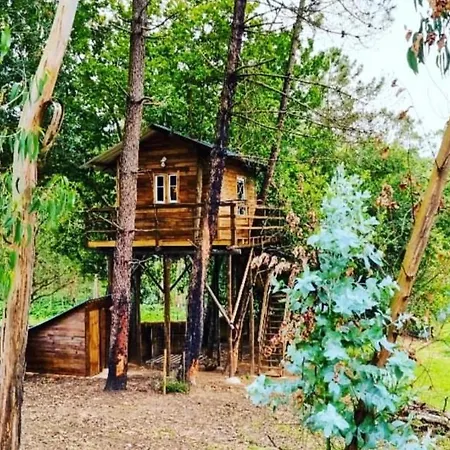 Vale Da Silva - Quinta Casa vacanze