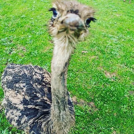 펜션 Vale Da Silva - Quinta