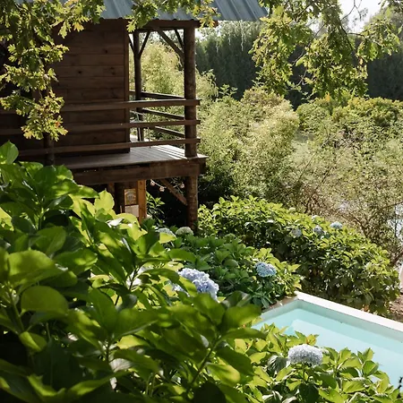 Holiday home Vale Da Silva - Quinta Albergaria-a-Velha