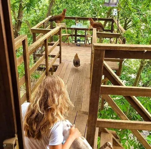 Vale Da Silva - Quinta *