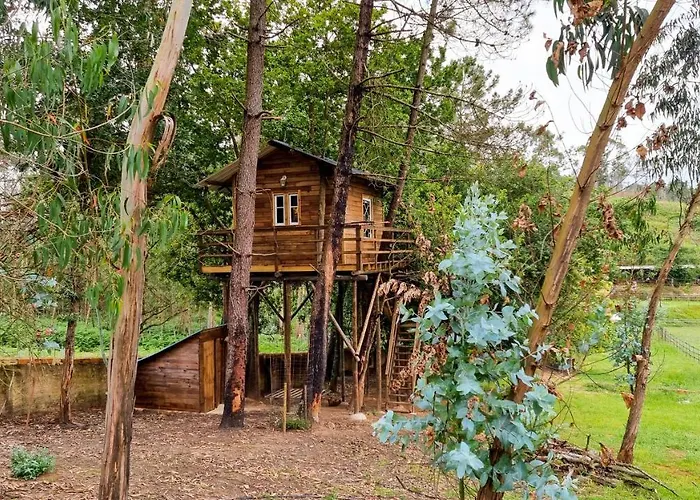 Hébergement de vacances Vale Da Silva - Quinta *