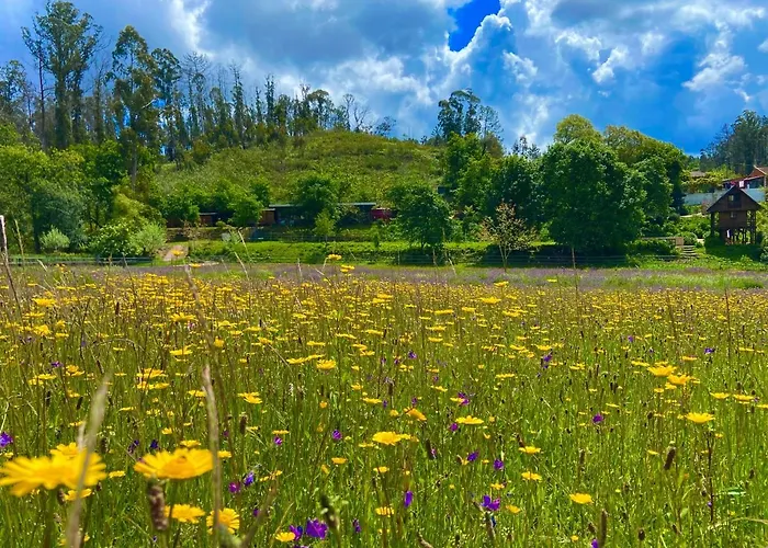 Vale Da Silva - Quinta * Albergaria-a-Velha