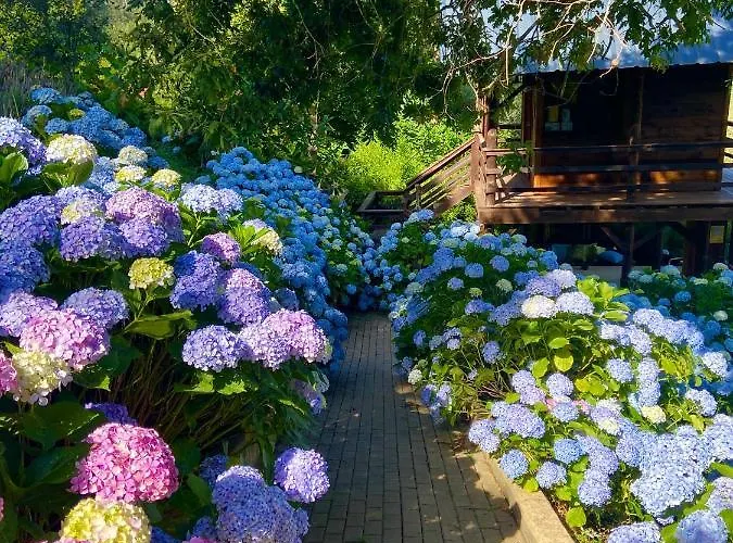 Vale Da Silva - Quinta Hébergement de vacances *