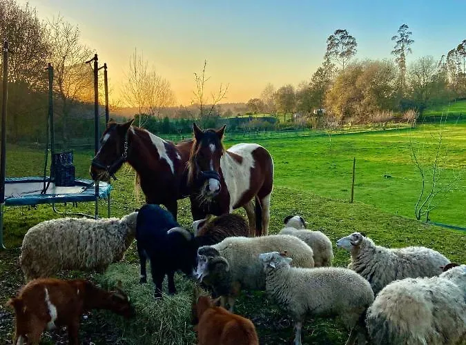 Vale Da Silva - Quinta Hébergement de vacances