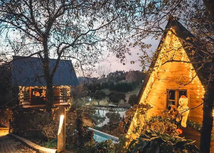 Hébergement de vacances Vale Da Silva - Quinta Albergaria-a-Velha