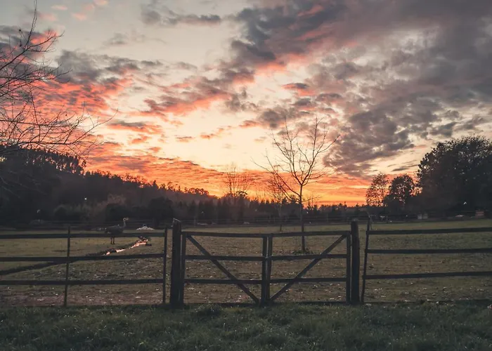 Hébergement de vacances Vale Da Silva - Quinta *