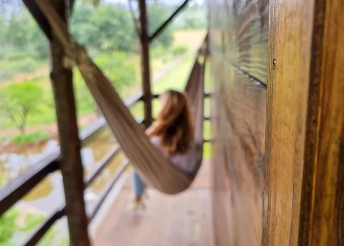 Hébergement de vacances Vale Da Silva - Quinta