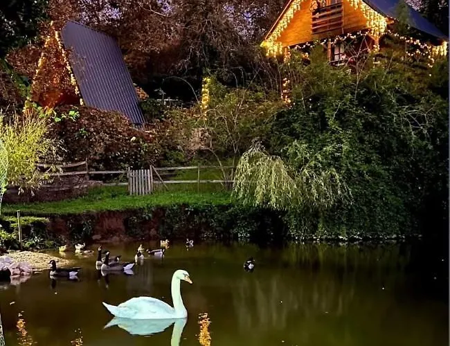 Vale Da Silva - Quinta Hébergement de vacances Albergaria-a-Velha