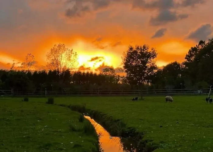 Vale Da Silva - Quinta Hébergement de vacances Albergaria-a-Velha