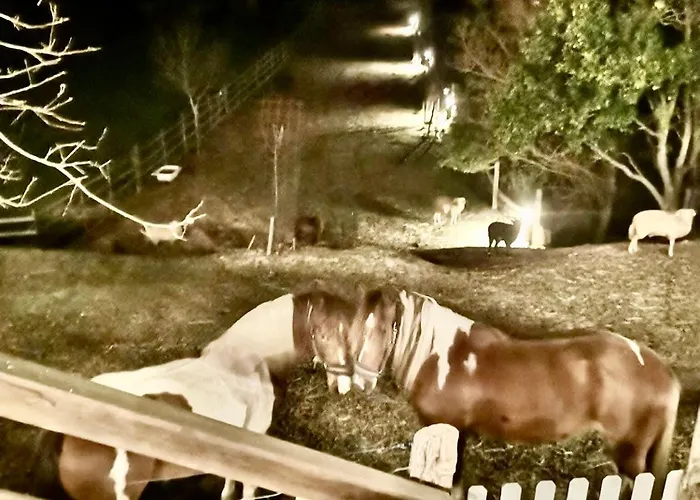 Vale Da Silva - Quinta Hébergement de vacances Albergaria-a-Velha