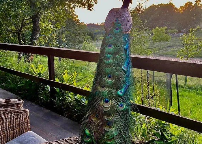 Vale Da Silva - Quinta