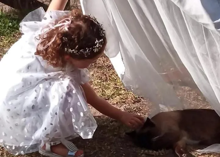 Vale Da Silva - Quinta * Albergaria-a-Velha