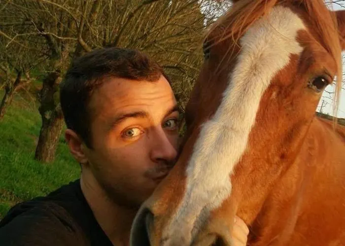 Hébergement de vacances Vale Da Silva - Quinta *