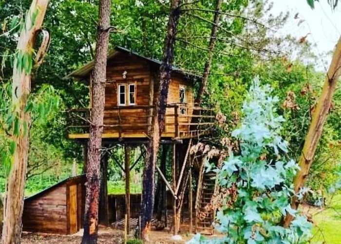 Vale Da Silva - Quinta Hébergement de vacances